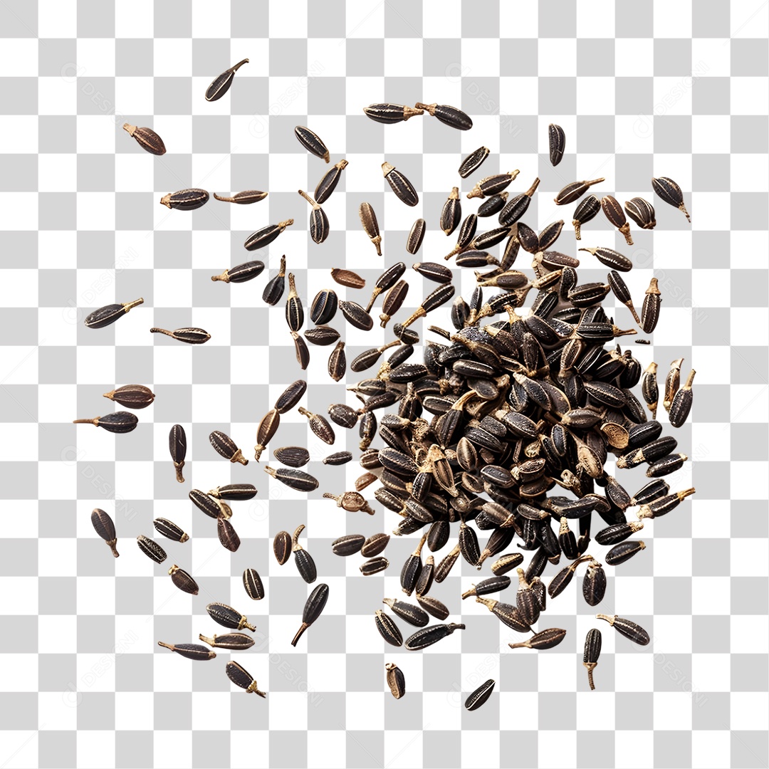 Sementes Grãos PNG Transparente