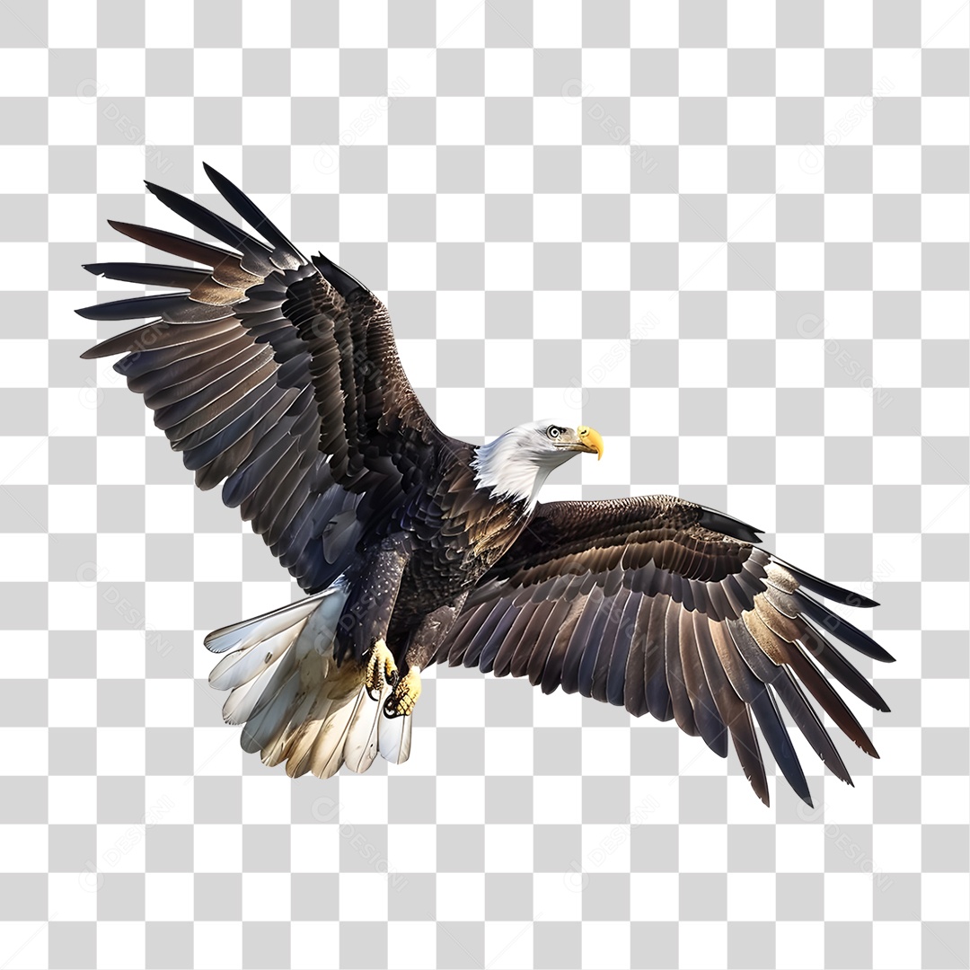 Ave Águia PNG Transparente