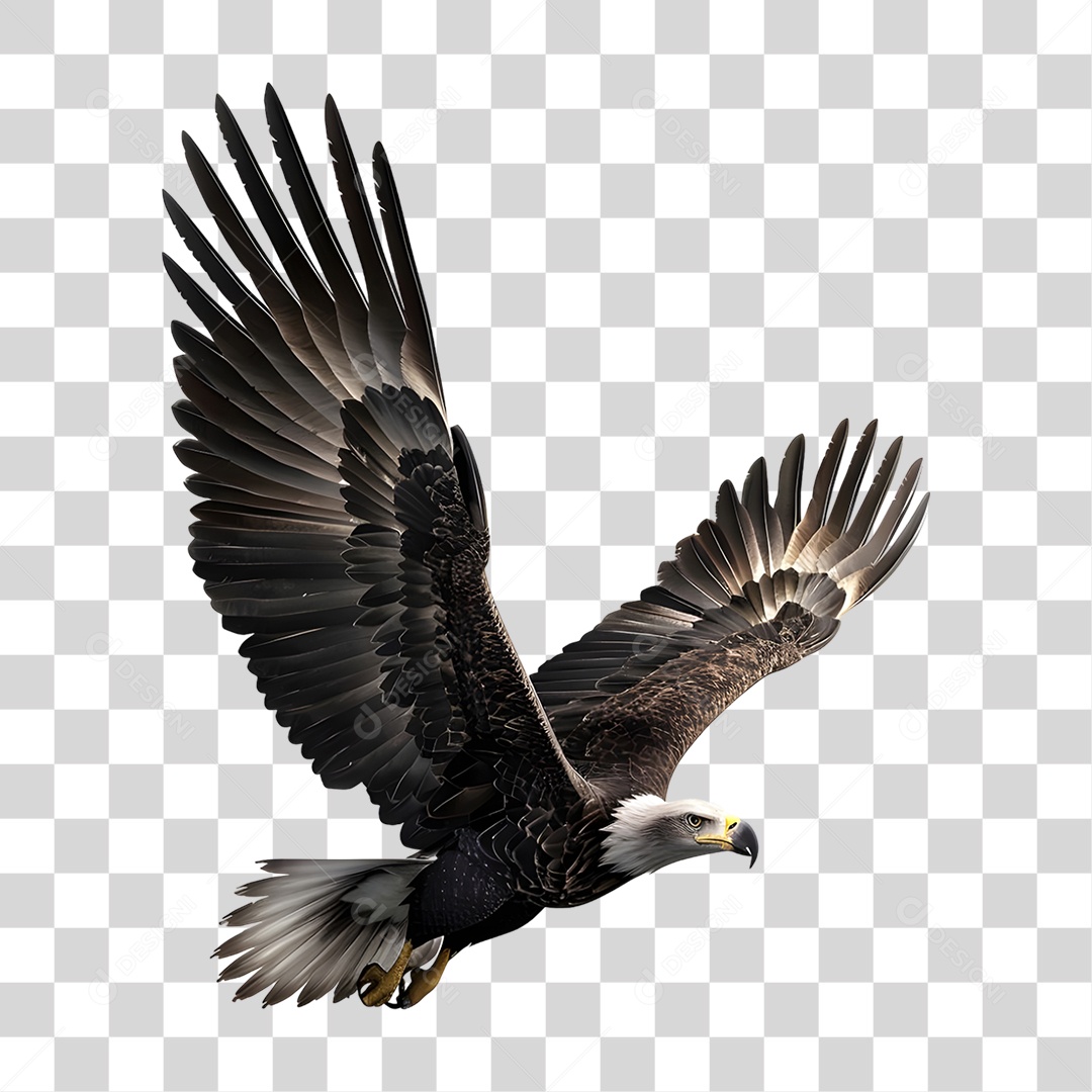 Ave Águia PNG Transparente