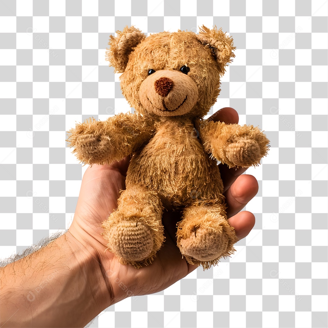 Mão Segurando Ursinho de Pelúcia PNG Transparente