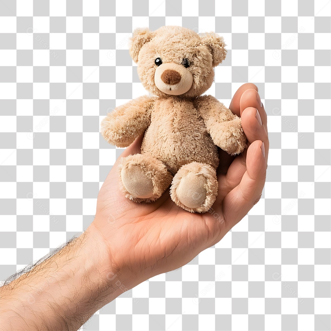Mão Segurando Ursinho de Pelúcia PNG Transparente