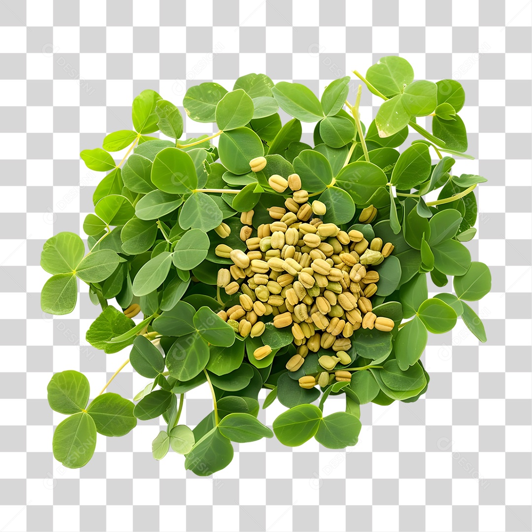 Sementes e Folhas de Feno Grego PNG Transparente