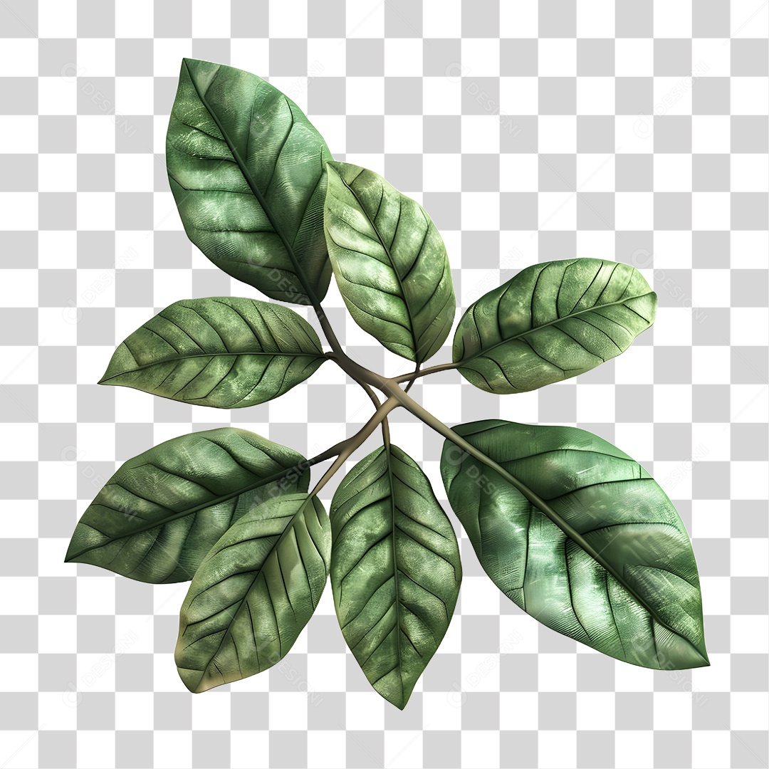 Galhos e Folhas PNG Transparente