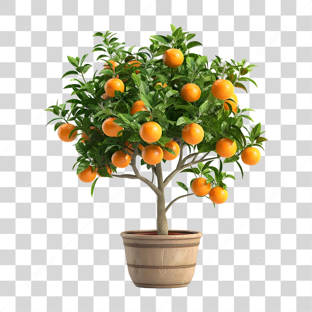 Árvore Laranjeira PNG Transparente