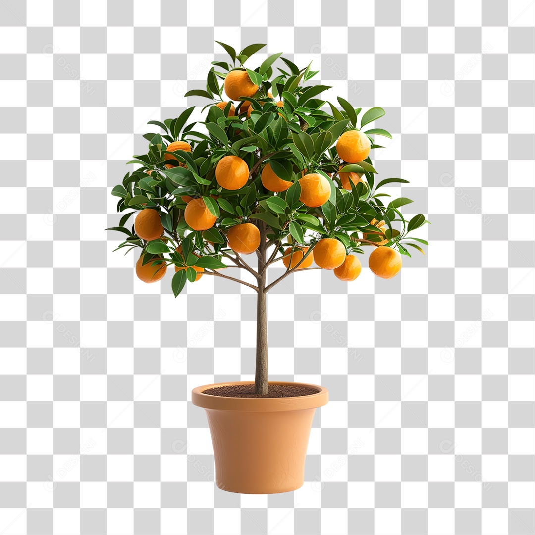 Árvore Laranjeira PNG Transparente
