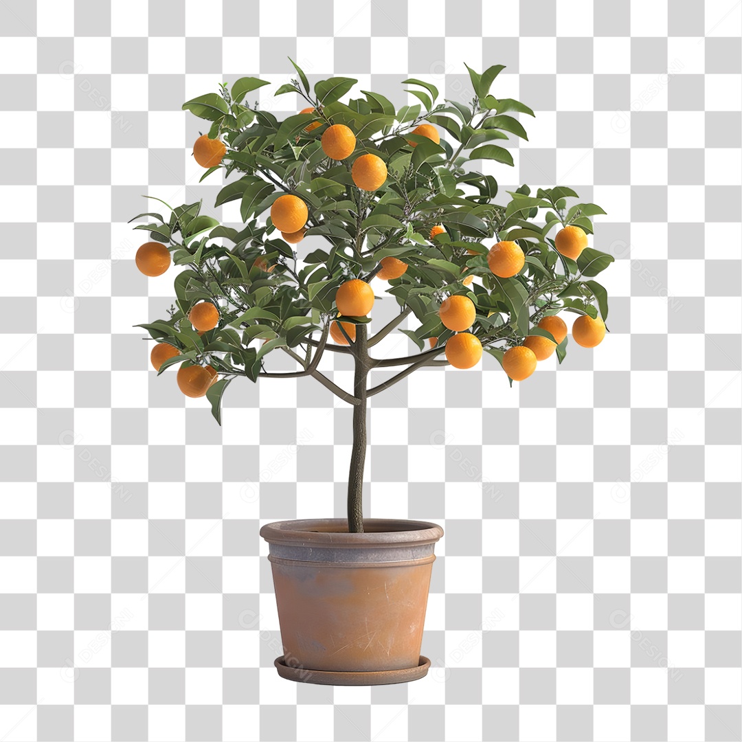 Árvore Laranjeira PNG Transparente