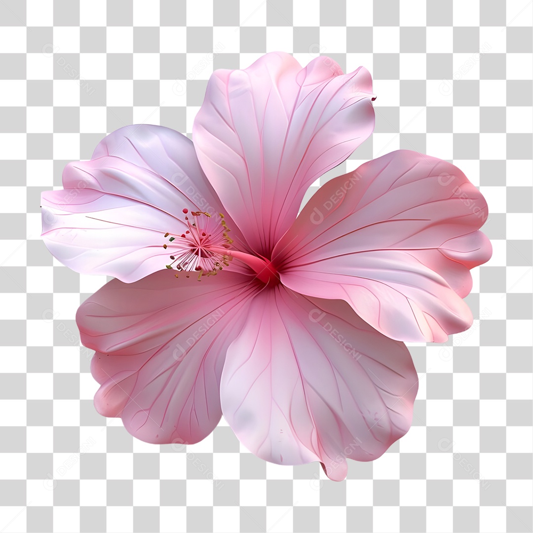 Flor Rosa PNG Transparente