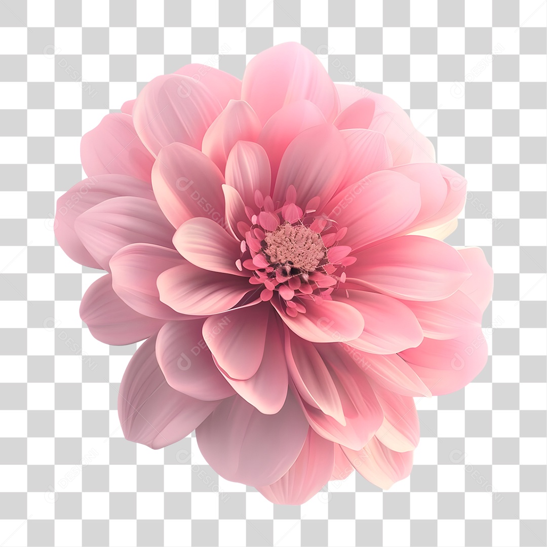 Flor Rosa PNG Transparente