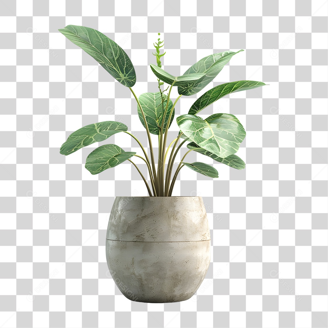 Muda de Planta em Vazo PNG Transparente