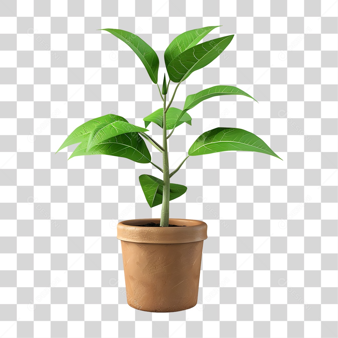 Muda de Planta em Vazo PNG Transparente