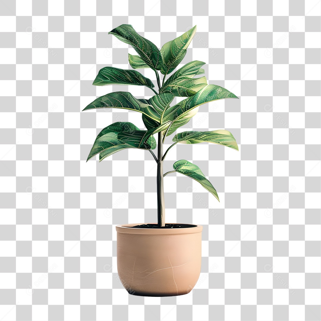 Muda de Planta em Vazo PNG Transparente