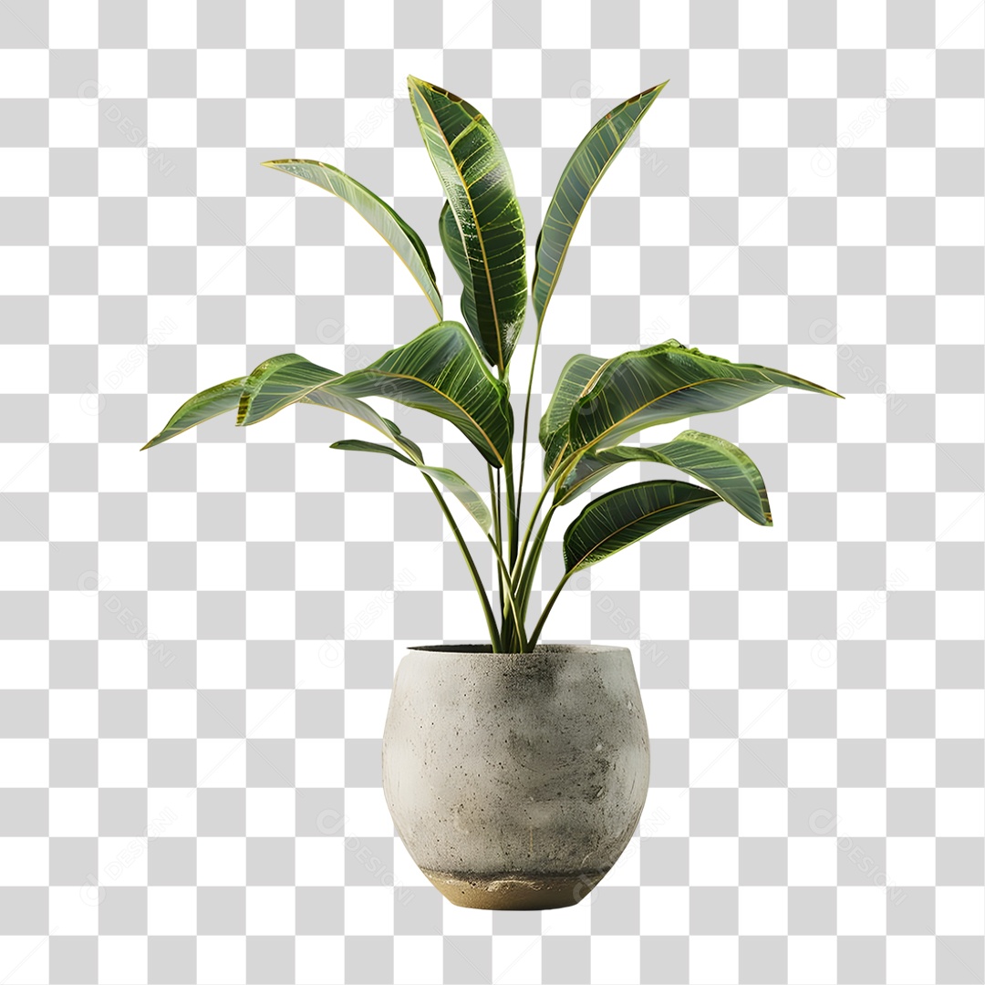 Muda de Planta em Vazo PNG Transparente