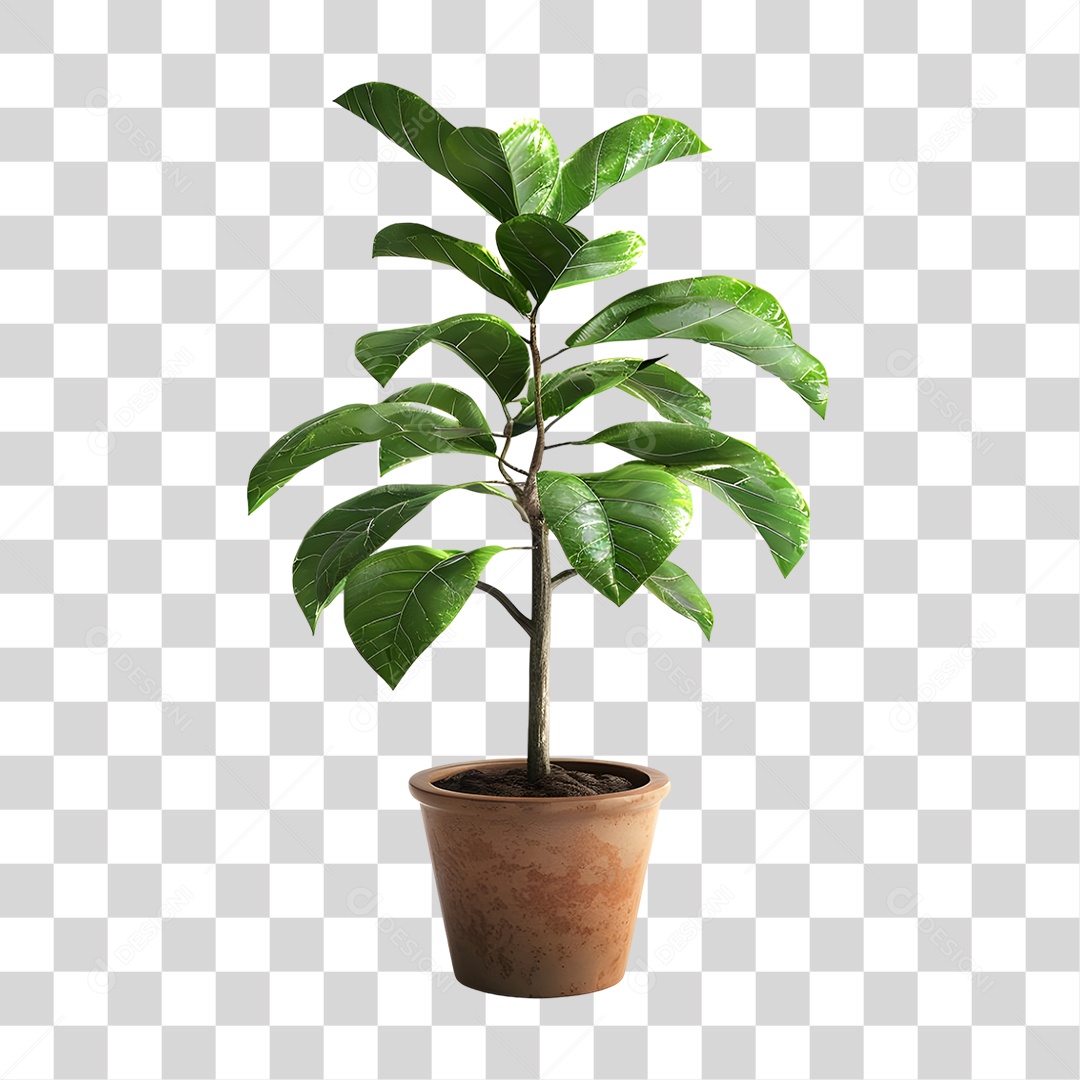 Muda de Planta em Vazo PNG Transparente