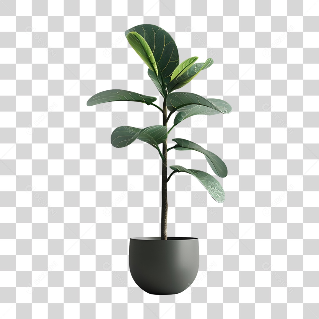 Muda de Planta em Vazo PNG Transparente