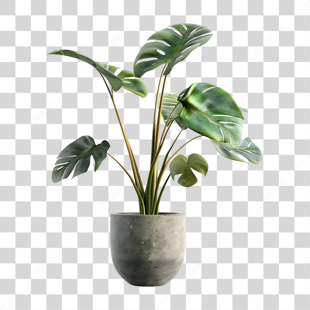 Muda de Planta em Vazo PNG Transparente