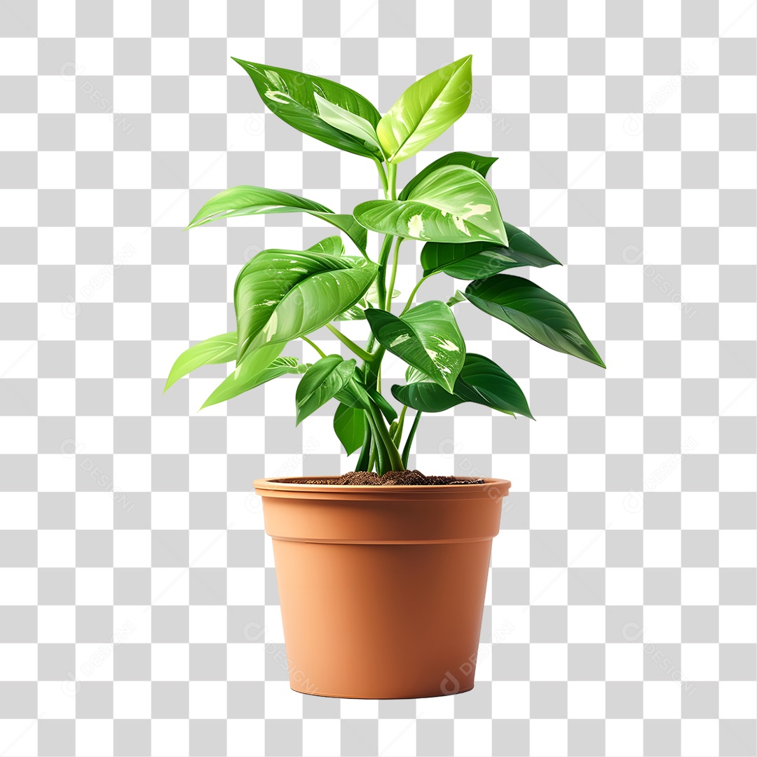 Muda de Planta em Vazo PNG Transparente