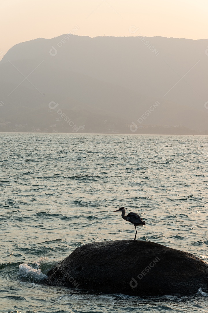 A imagem mostra uma paisagem com um corpo dágua em primeiro plano e uma montanha