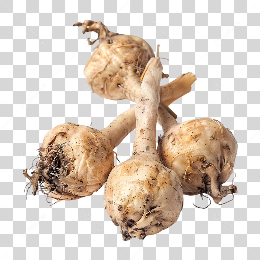 Maca Peruana PNG Transparente