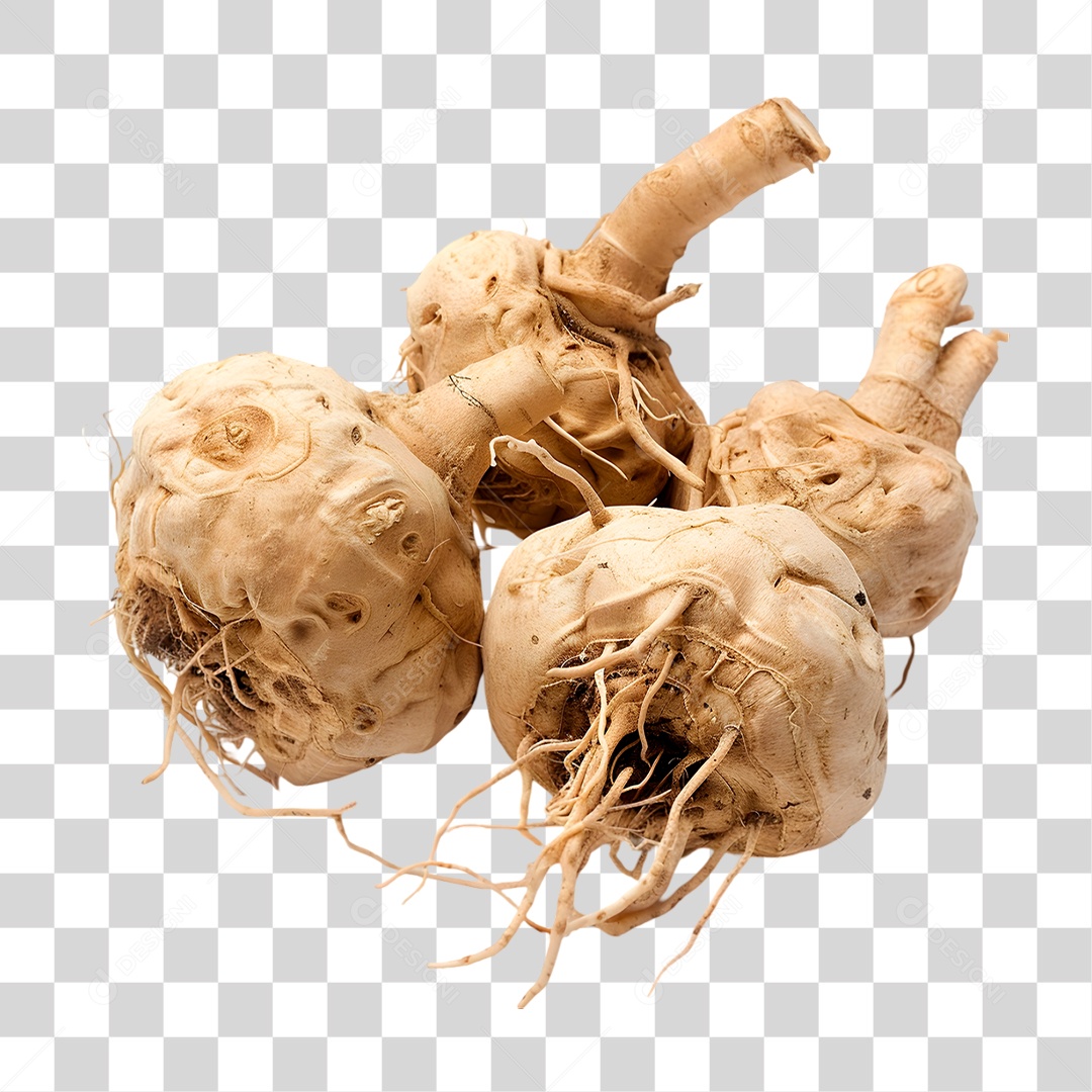 Maca Peruana PNG Transparente