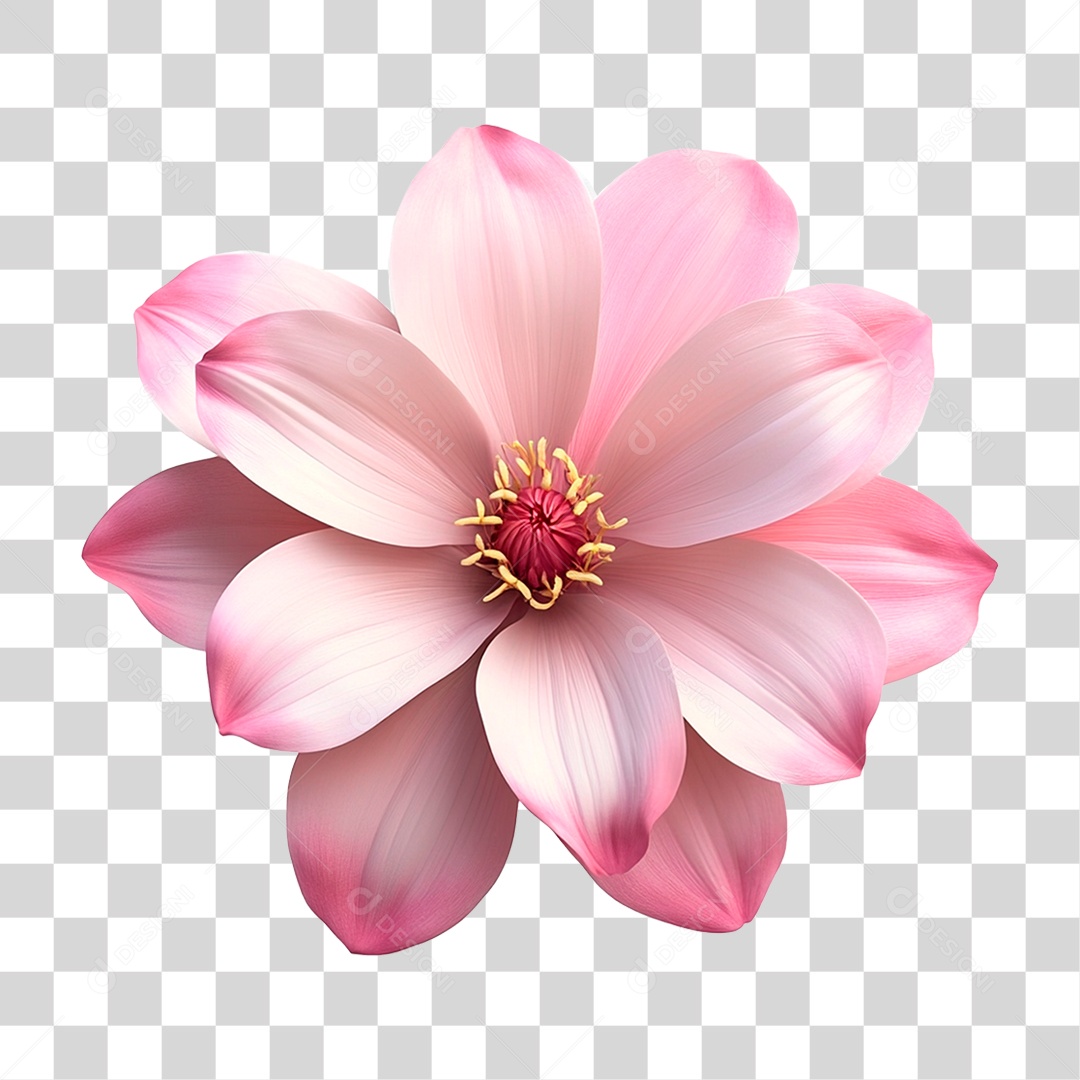 Flor Rosa PNG Transparente