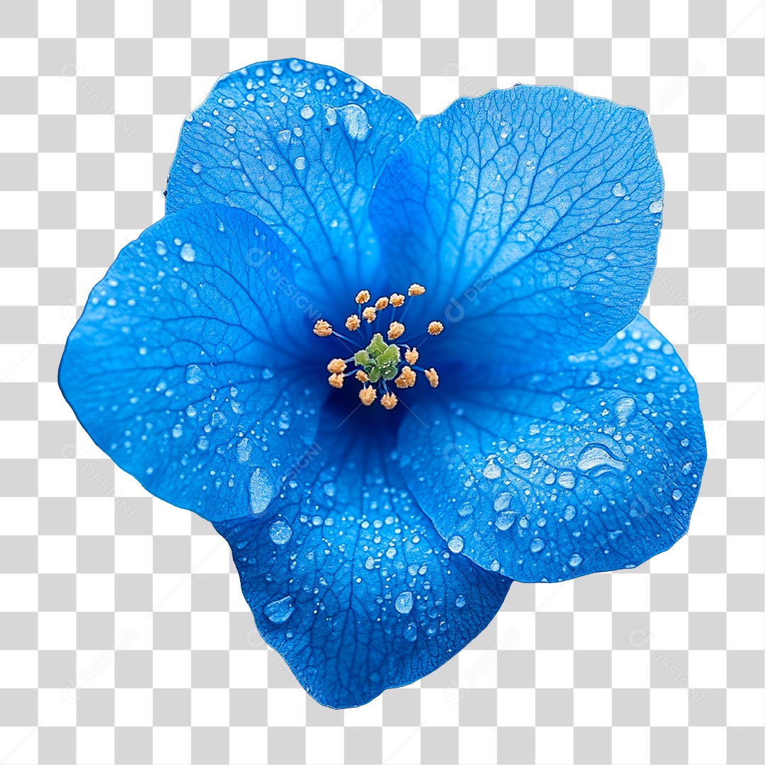 Flor Azul PNG Transparente