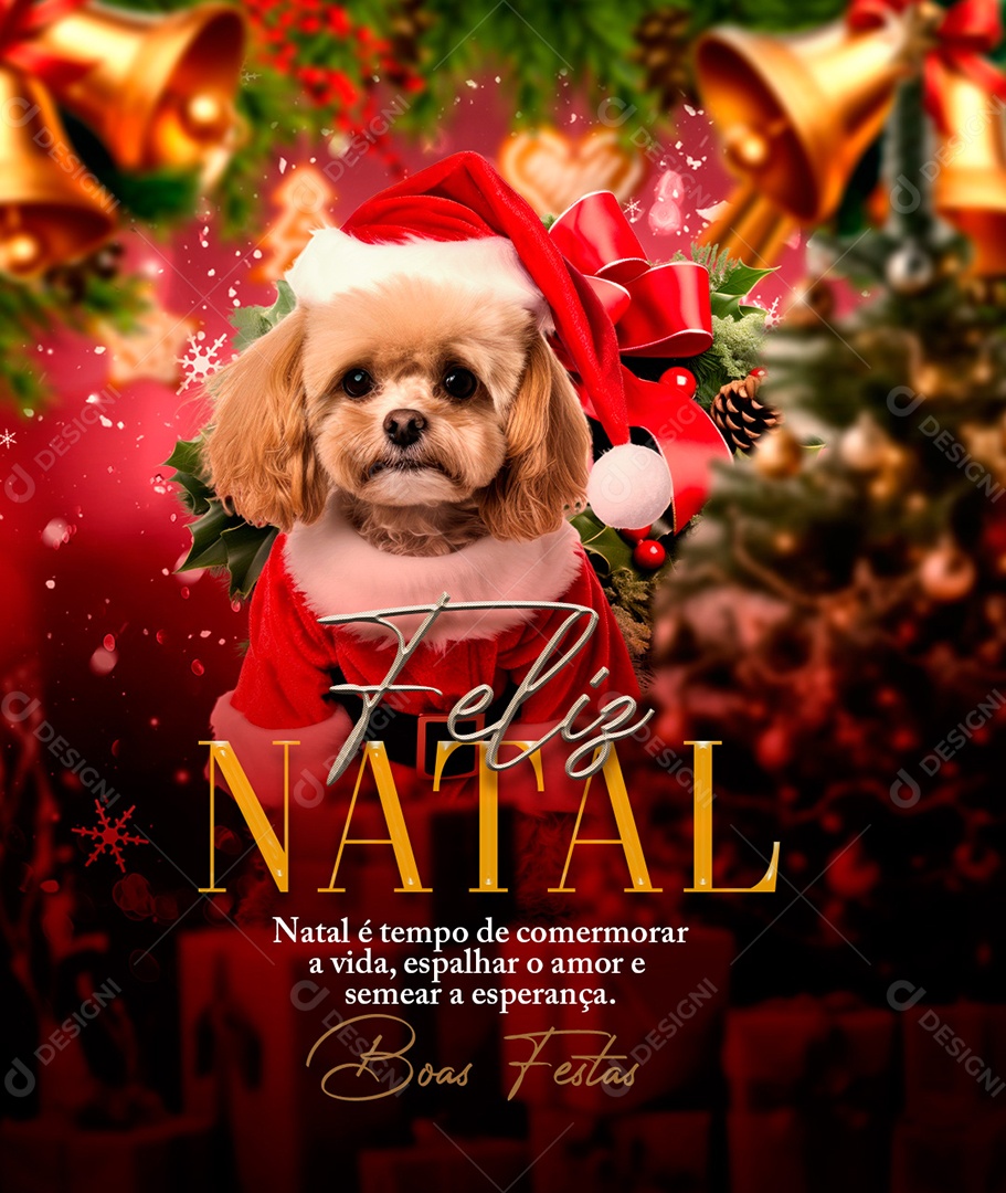 Feliz Natal 25 de Dezembro Amor e Semear Esperança Social Media PSD Editável