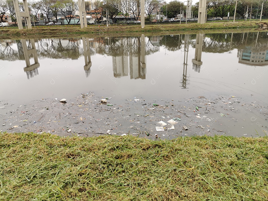 Lixo e poluição e destruição às margens do rio pinheiros