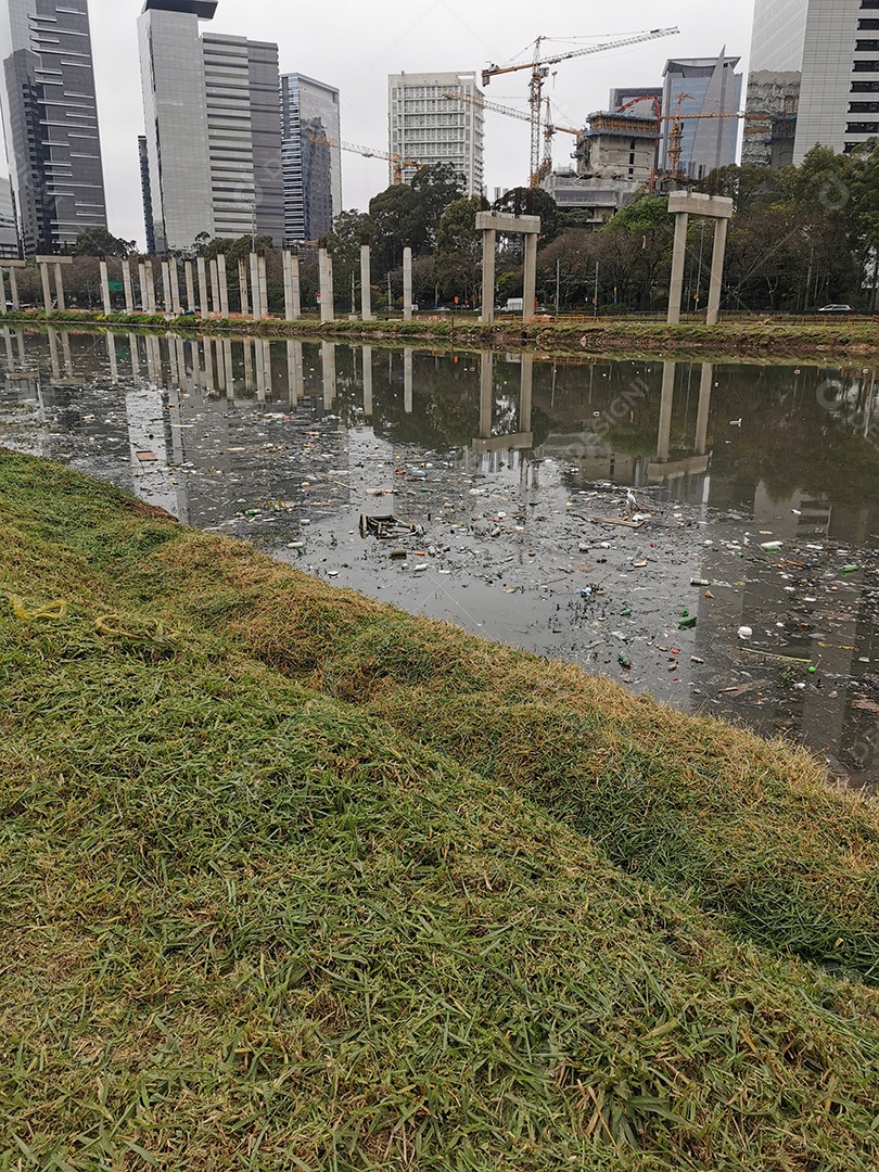 Lixo e poluição e destruição às margens do rio pinheiros