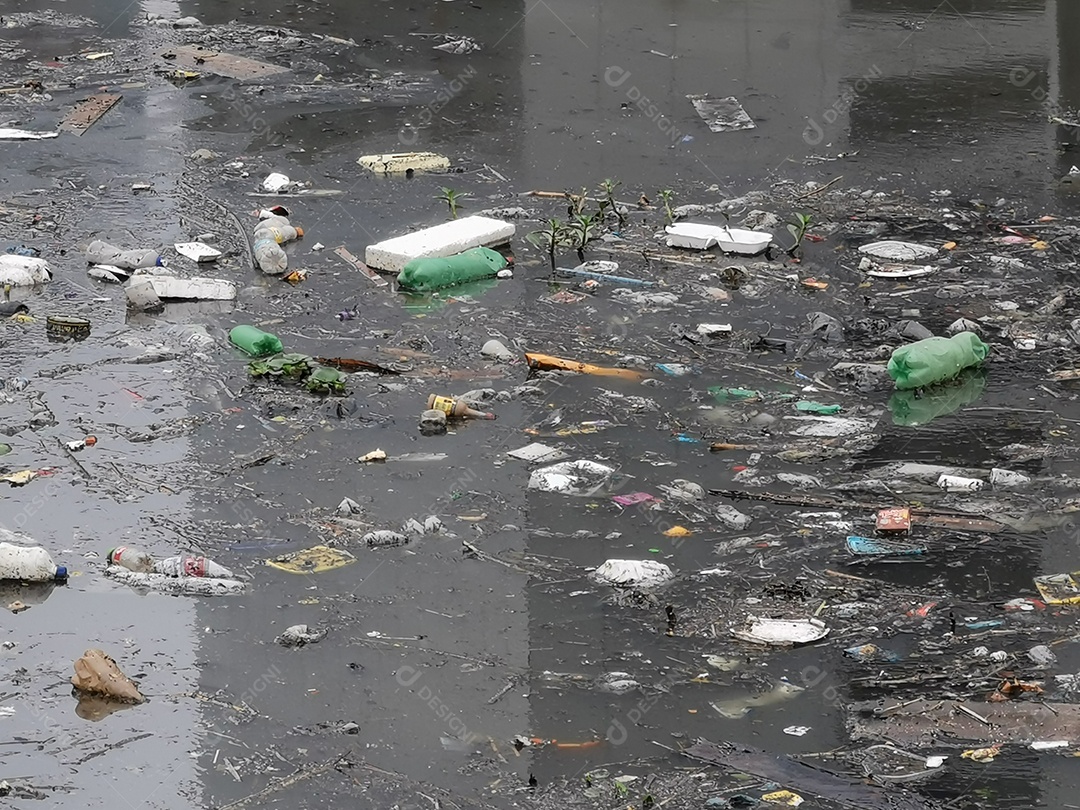 Lixo e poluição e destruição às margens do rio pinheiros