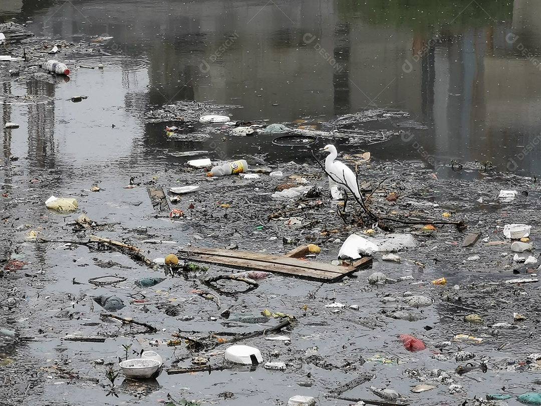 Lixo e poluição e destruição às margens do rio pinheiros