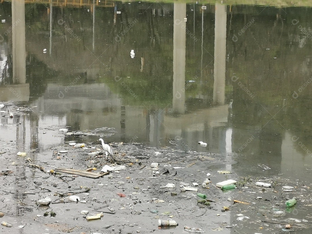 Lixo e poluição e destruição às margens do rio pinheiros