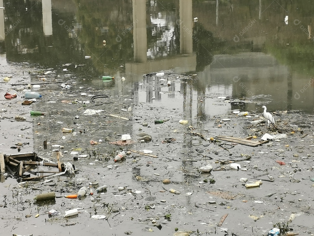 Lixo e poluição e destruição às margens do rio pinheiros