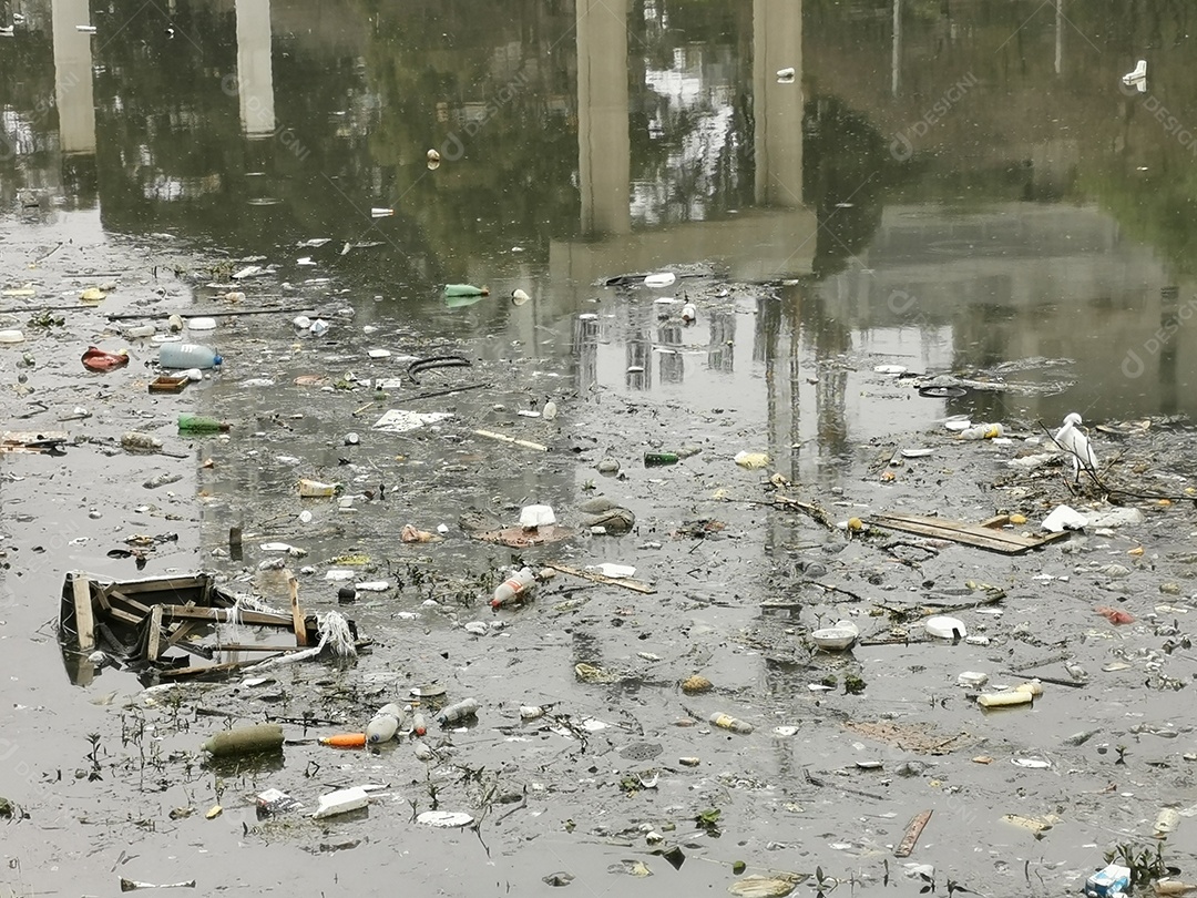 Lixo e poluição e destruição às margens do rio pinheiros