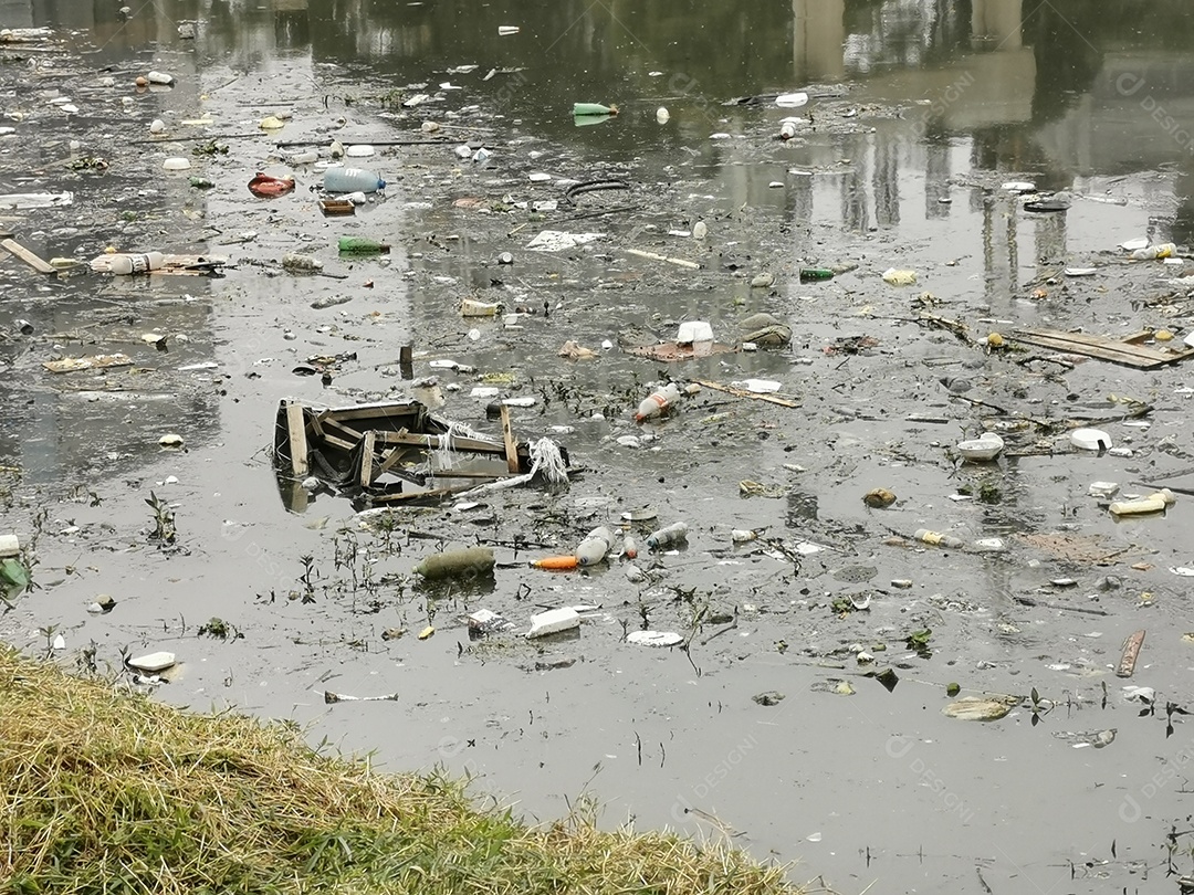 Lixo e poluição e destruição às margens do rio pinheiros
