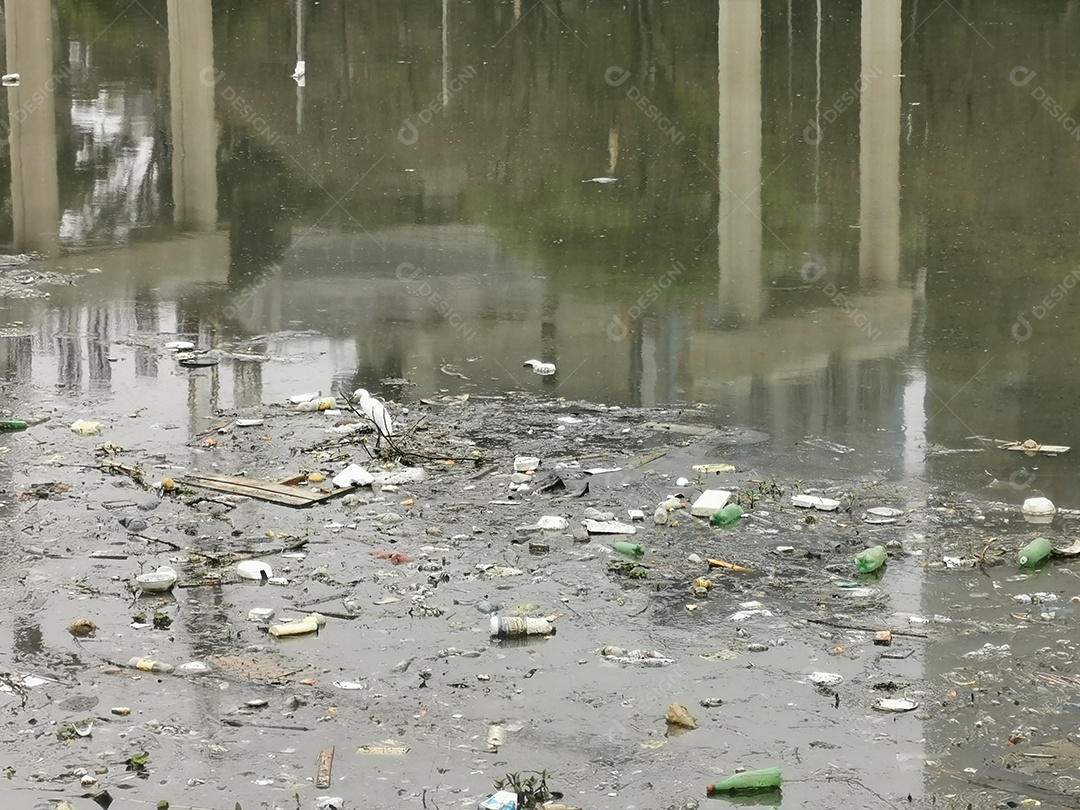 Lixo e poluição e destruição às margens do rio pinheiros