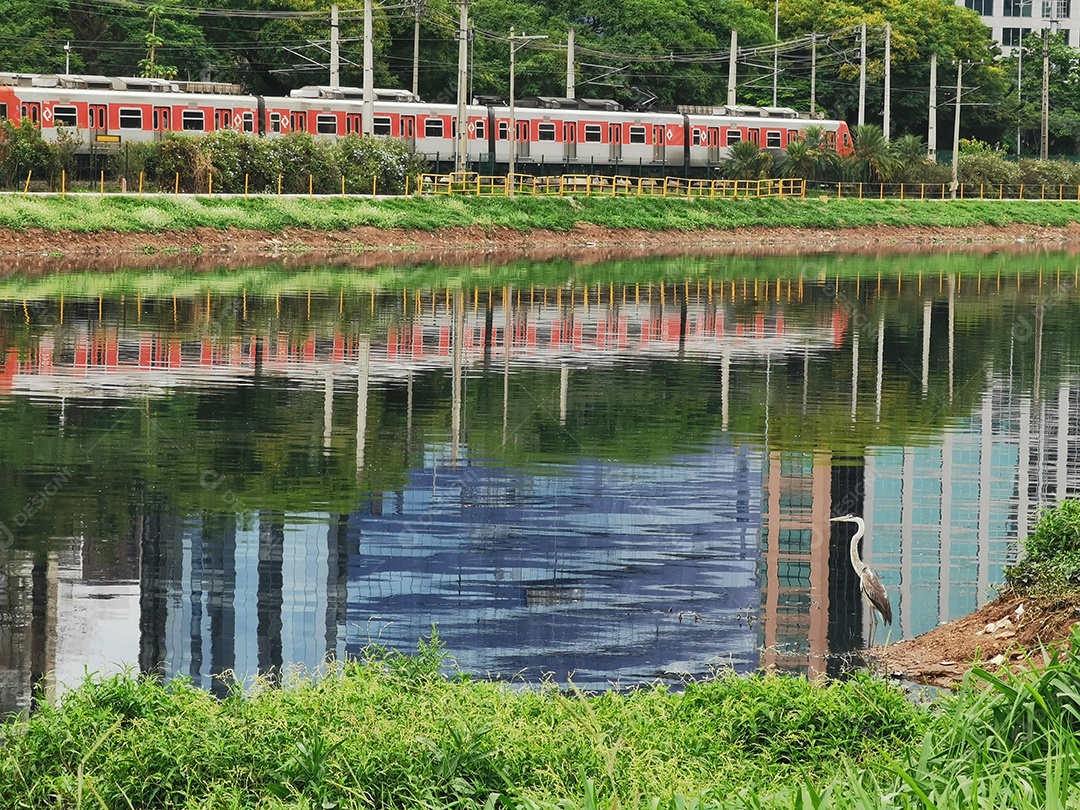 Lixo e poluição e destruição às margens do rio pinheiros