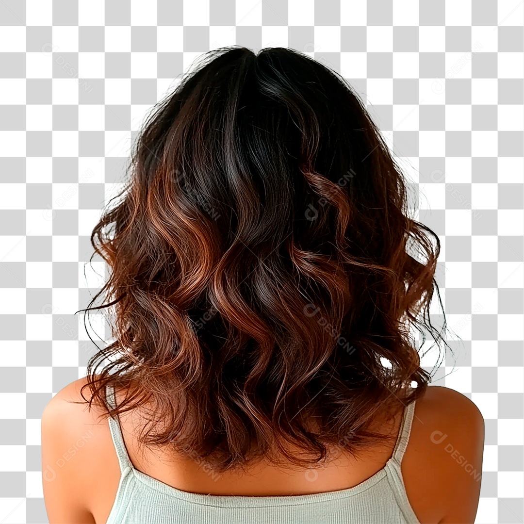 Cabelo Peruca PNG Transparente