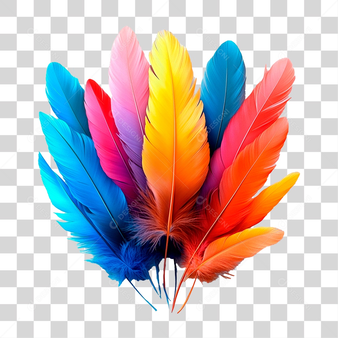 Penas Colorida PNG Transparente