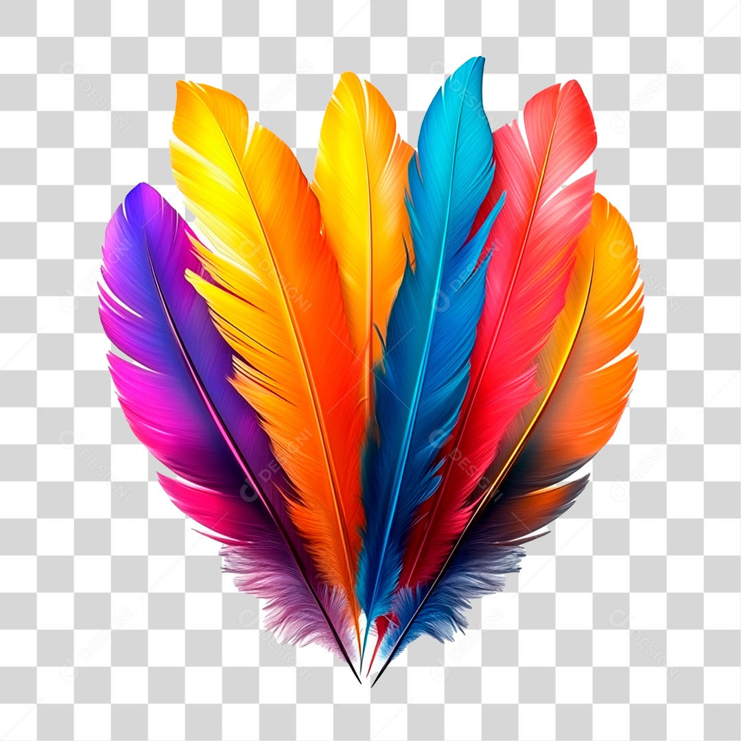 Penas Coloridas PNG Transparente