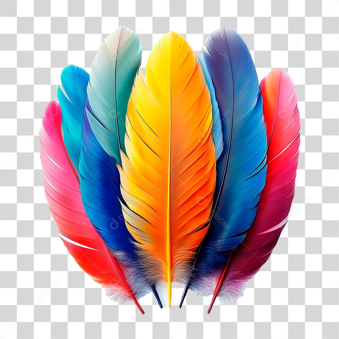 Penas Coloridas PNG Transparente
