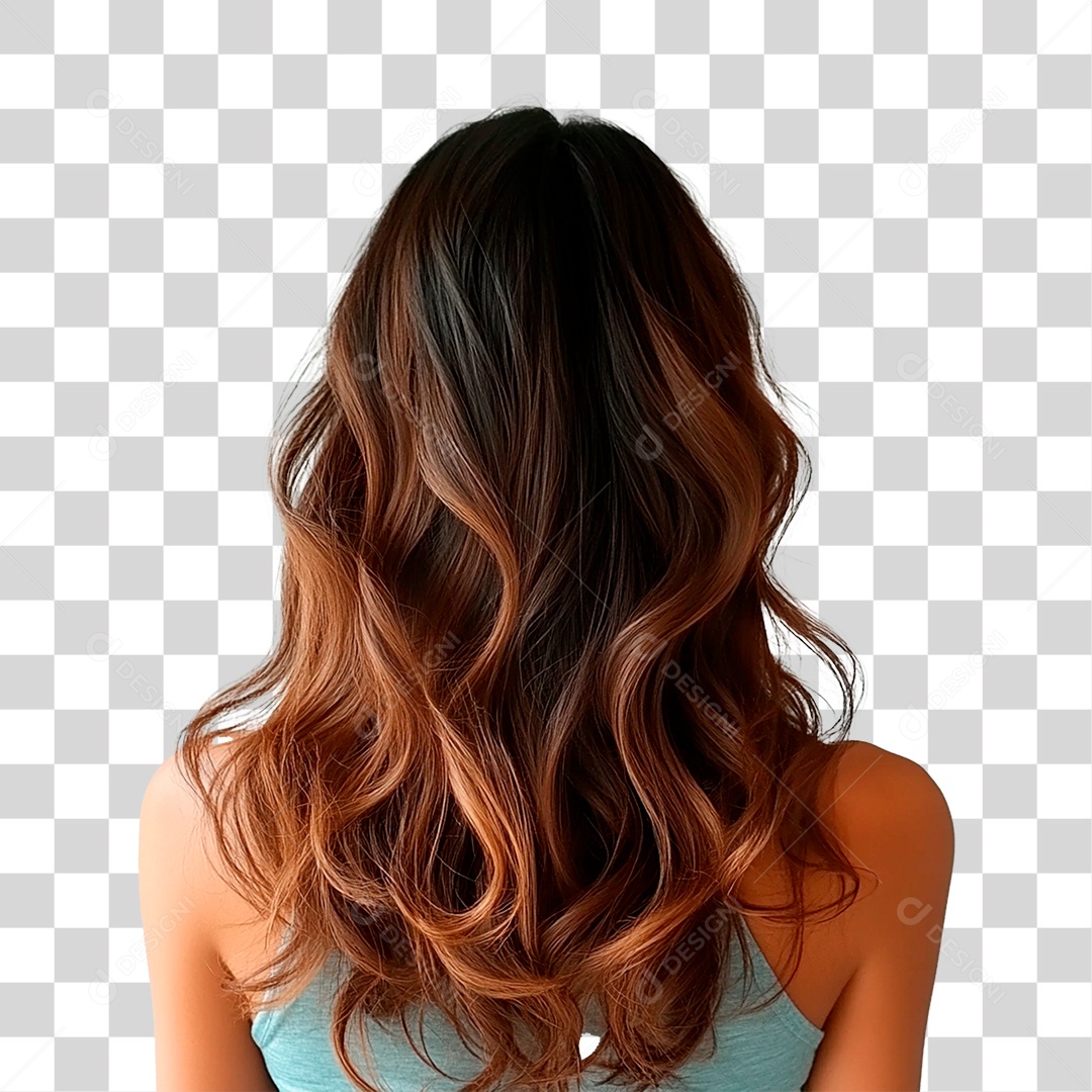 Cabelo Peruca PNG Transparente