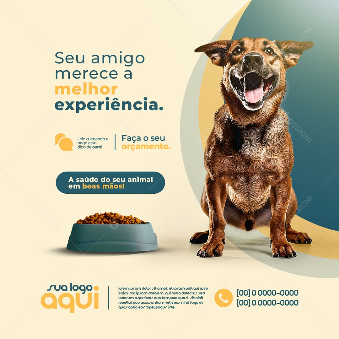 Petshop A Melhor Experiência Social Media PSD Editável
