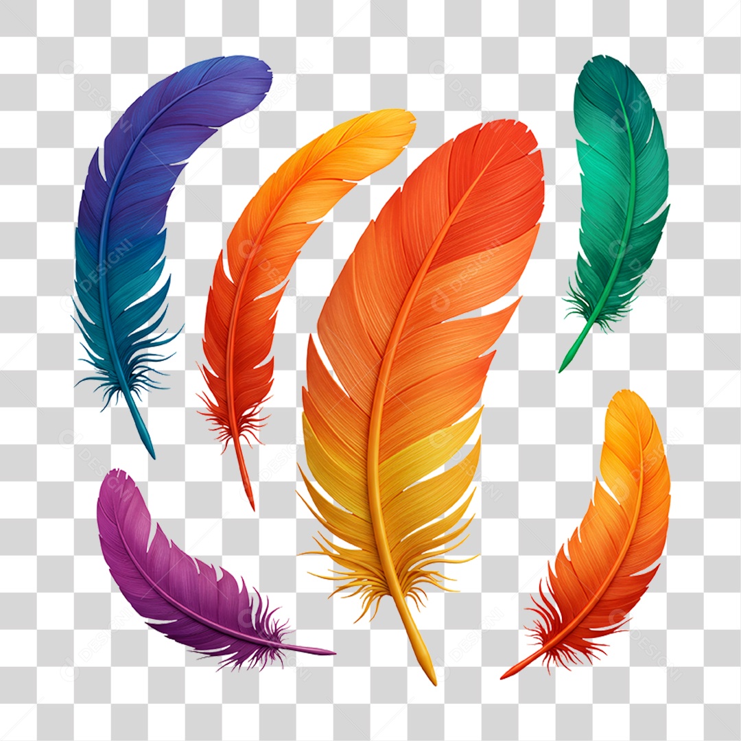 Penas Coloridas PNG Transparente