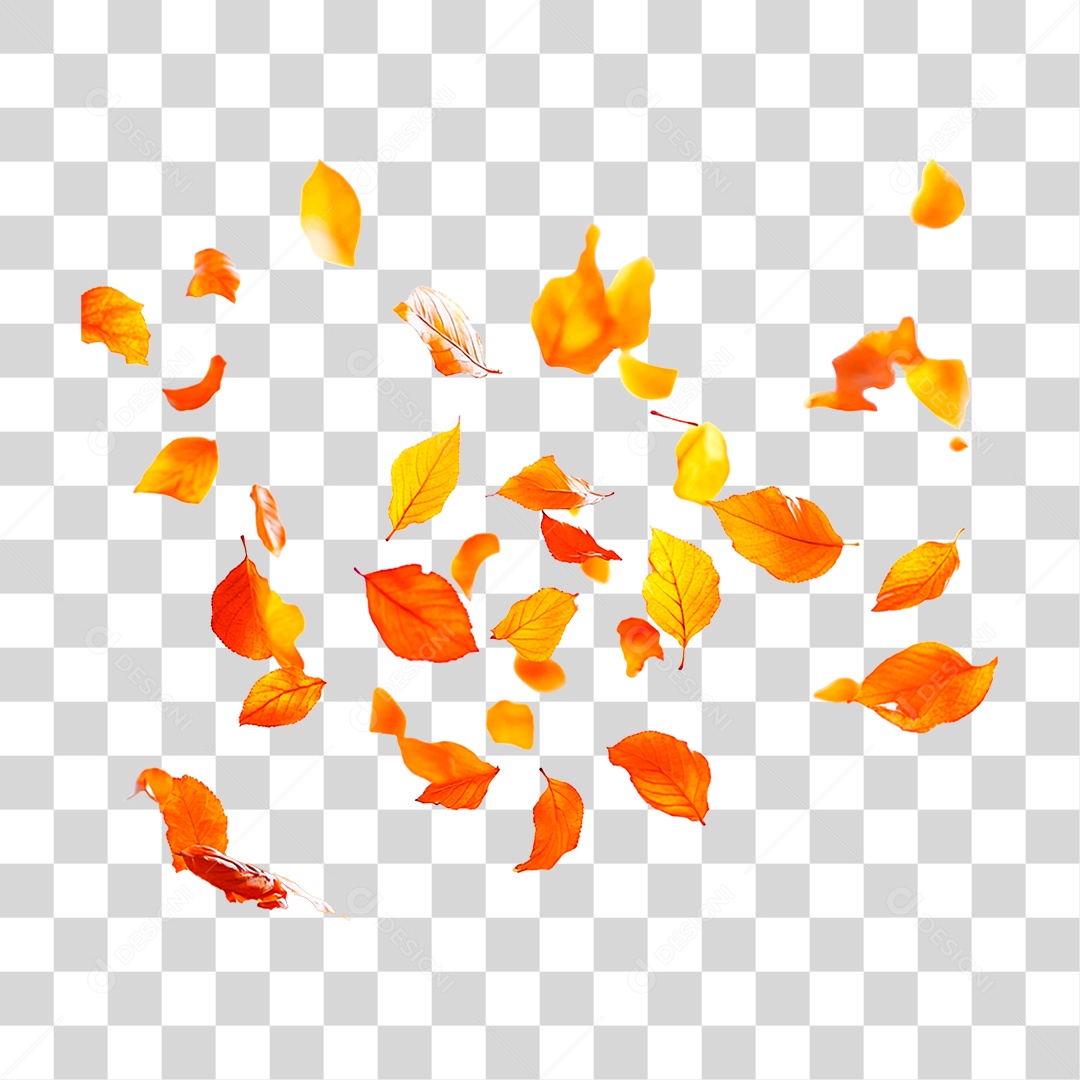 Folhas Secas PNG Transparente