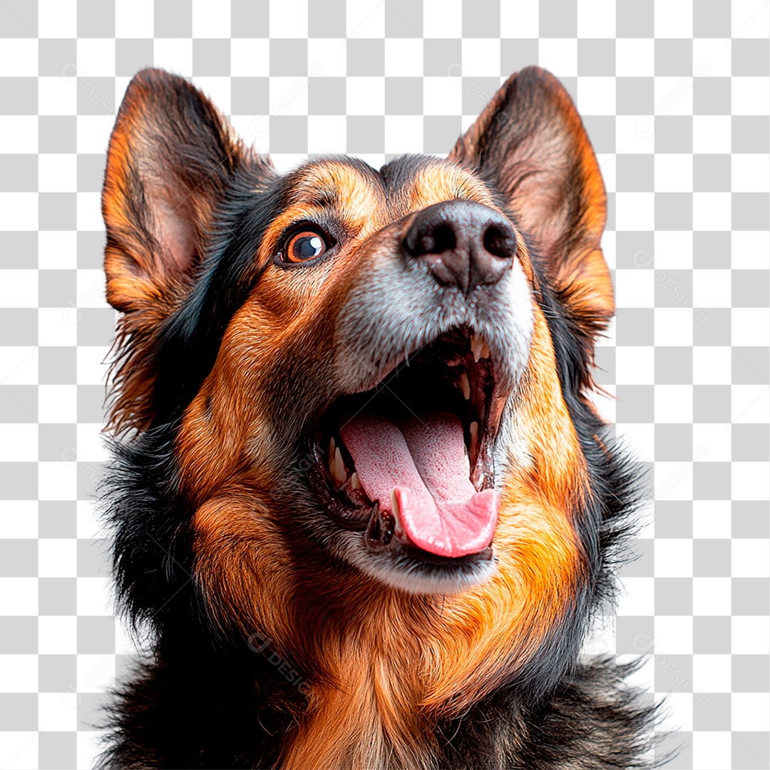 Cachorro PNG Transparente