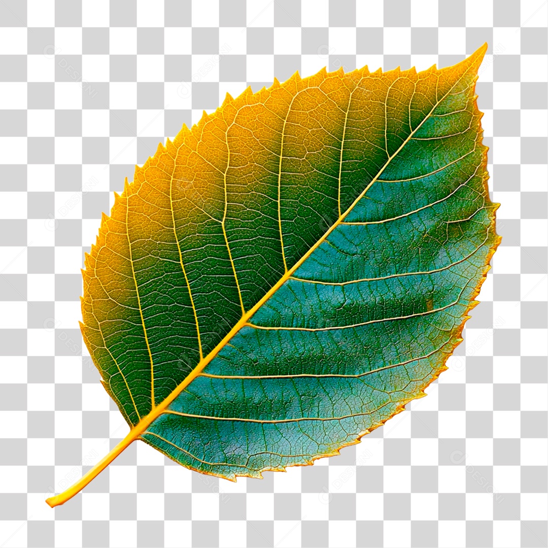 Folha Verde PNG Transparente