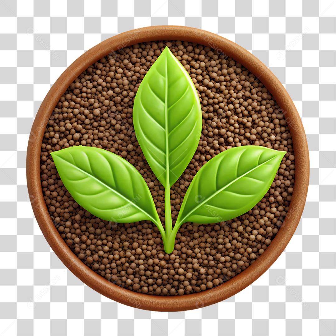 Planta PNG Transparente