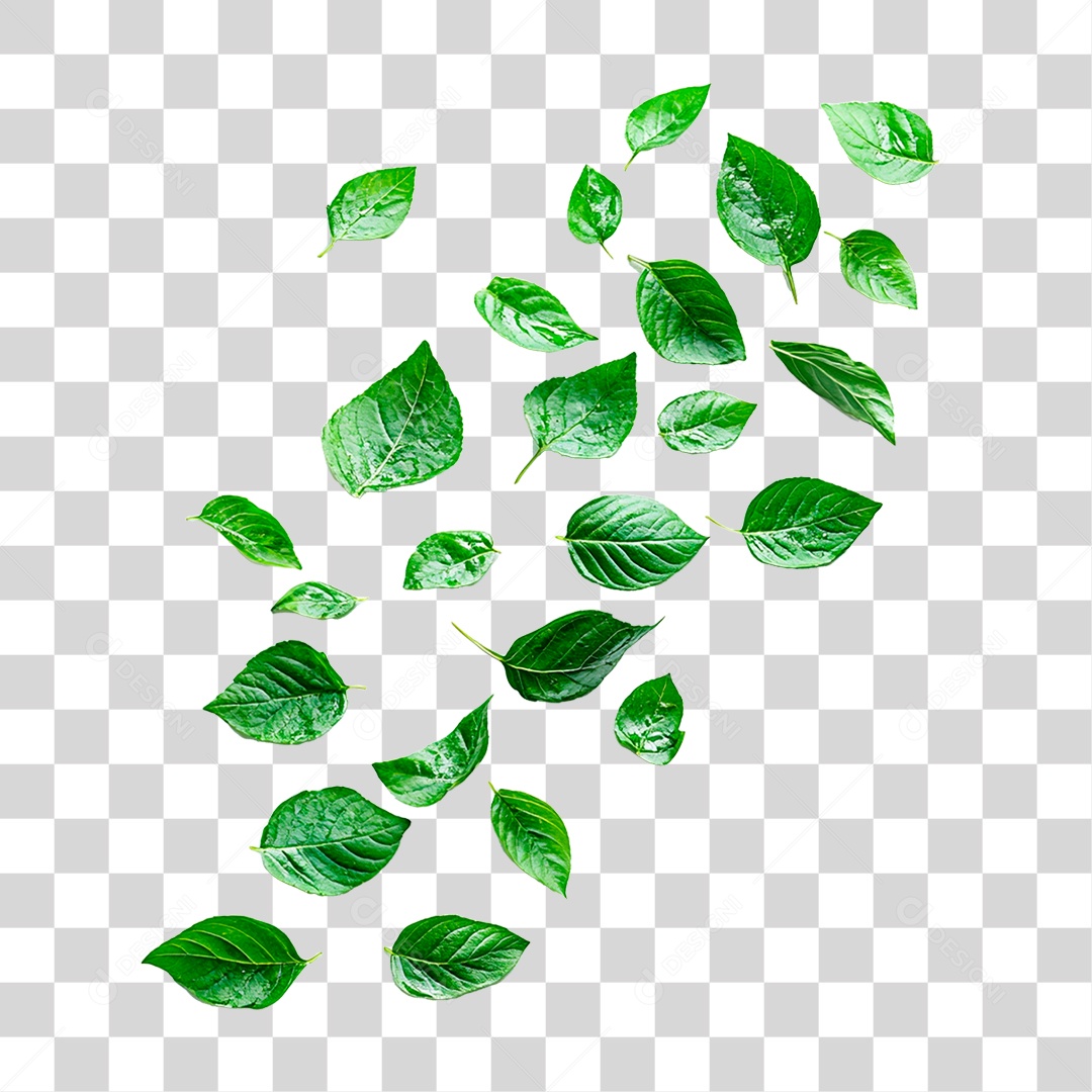 Folha Verde PNG Transparente