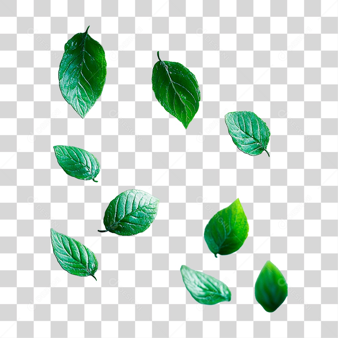 Folha Verde PNG Transparente