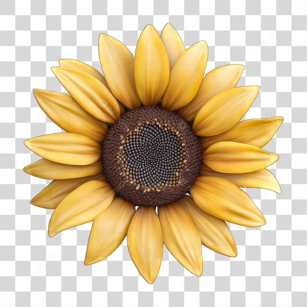 Girassol PNG Transparente